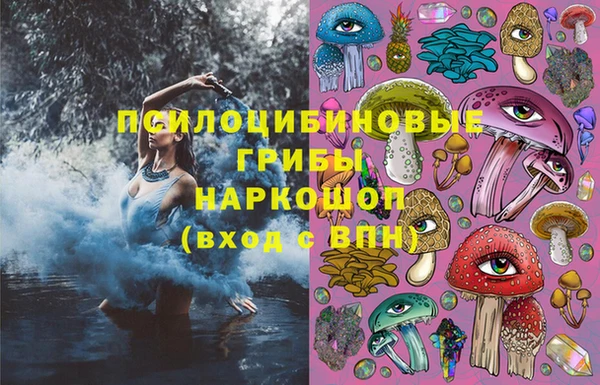соль курить ск Ладушкин
